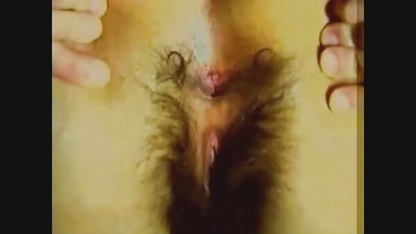 Arschbrünette mit Zöpfen lutscht einen fetten und langen geile pornos kostenlos Schwanz für klebriges Sperma